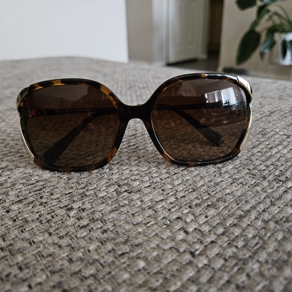 Coach Sunglasses HC8280U (L1116)